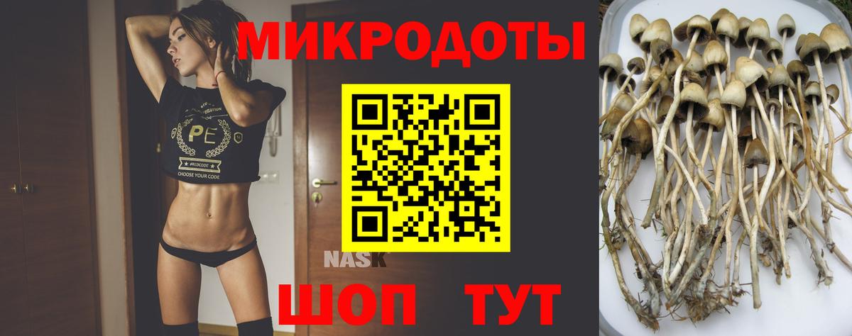 Зерноград  Галлюциногенные грибы ЛСД  Псилоцибиновые грибы GOLDEN TEACHER  Вход с VPN 